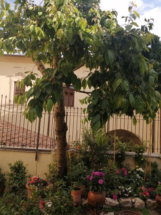 B&B Bone Novelle Dimora Storica Palazzo Zuzi LʼAquila Zewnętrze zdjęcie